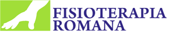 logoFisioterapiaRomana